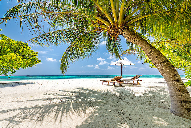 Beste Reisezeit Malediven und Japan: Optimieren Sie Ihre Urlaubsplanung